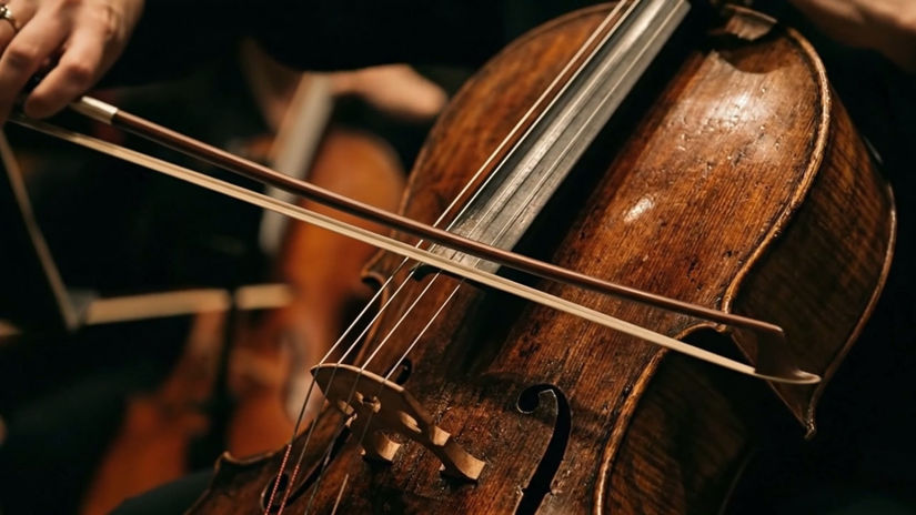 Delivery Service Commercial